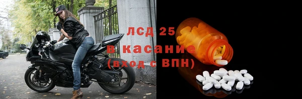 прущие грибы Дмитров