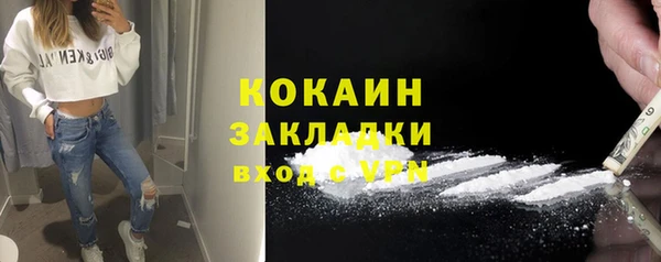 МДПВ Дмитриев