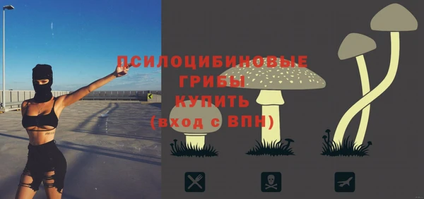 ешки Арсеньев