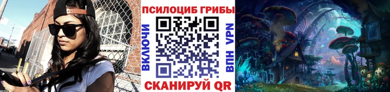 Псилоцибиновые грибы MAGIC MUSHROOMS  купить наркотики цена  Мышкин 